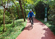 生态透水混凝土