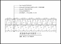 高承载植草地坪（5T断面）