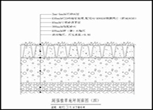 高承载植草地坪（13T以下断面）